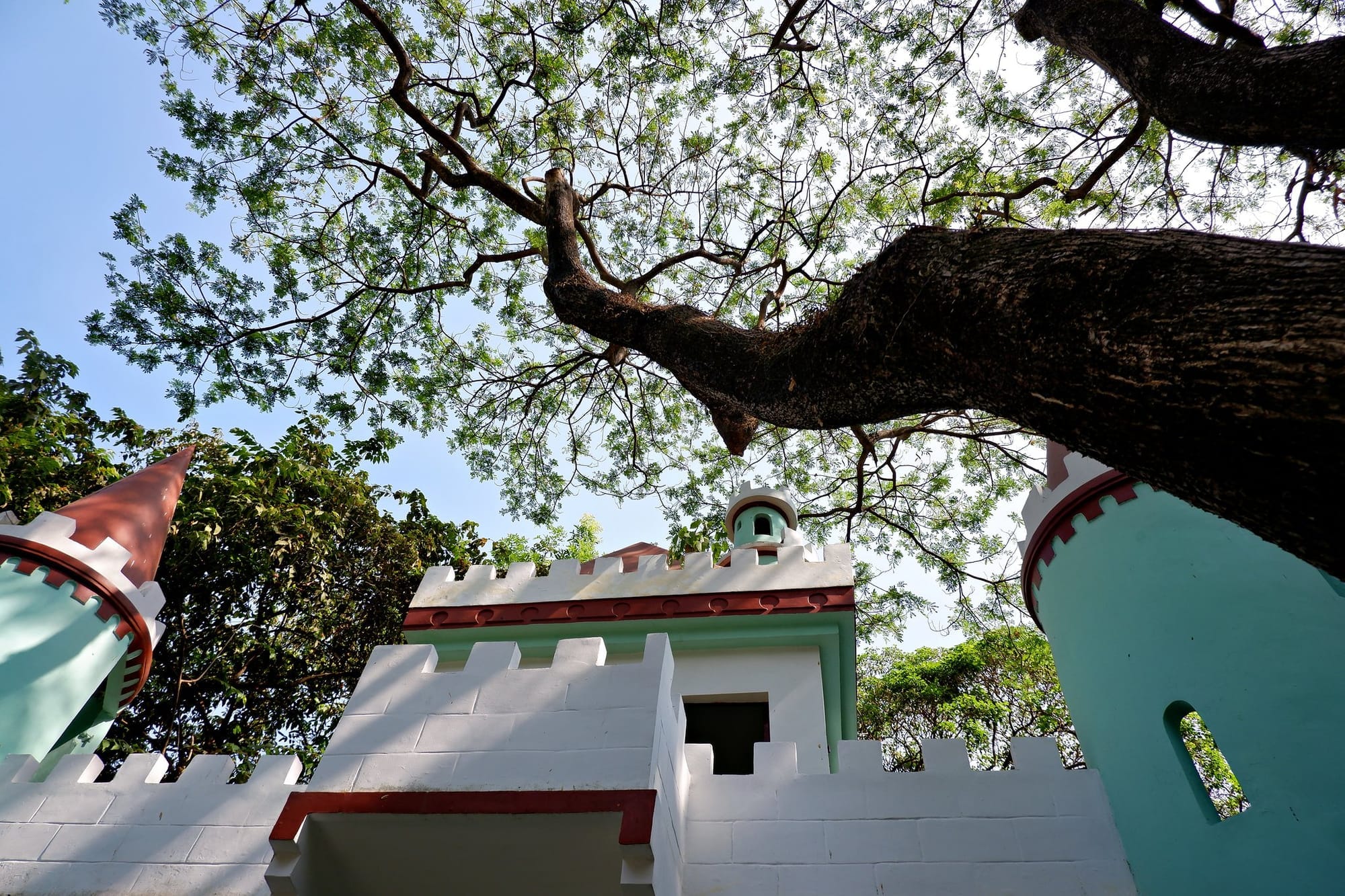 To create, not generate