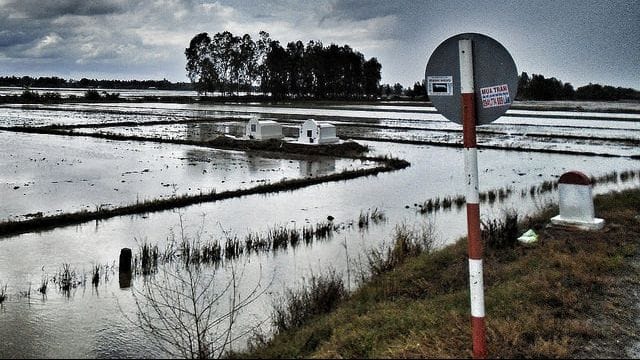 Mưa ở Vĩnh Hưng