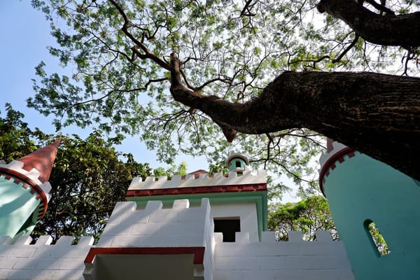 To create, not generate