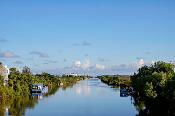 Thương mãi một mùa gió chướng