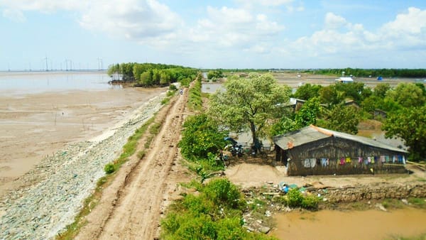 Đê biển Bạc Liêu